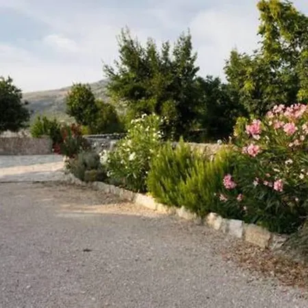 Three Bedroom With Pool Trbounje